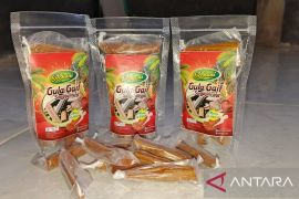 Gula Gait produk Sangkulirang sebagai oleh-oleh khas Kutai Timur