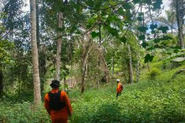 SAR Manado cari seorang remaja hilang di perkebunan nilam Liandok Minahasa Selatan