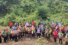 Kemenag Bengkayang tanam pohon Matoa memperingati Hari Bumi