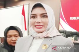 KPU Kalsel beri waktu tiga hari guna ajukan gugatan PSU Banjarbaru