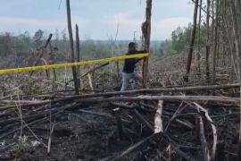 Polres Pelalawan pasang garis polisi pada lahan terbakar TN Tesso Nilo