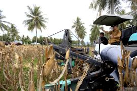 Pemkab Gorontalo siapkan alat ukur kekeringan jagung bagi petani