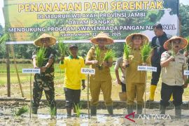 Sarolangun Jambi targetkan 7.413 ha sawah dua kali panen untuk swasembada pangan