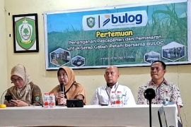 Dinas Pertanian Kotim edukasi petani untuk optimalisasi serapan gabah