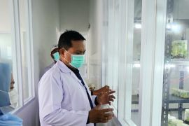 Wali Kota Madiun resmikan laboratorium kultur jaringan