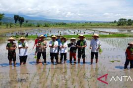 Pemkot Kediri permudah kebutuhan petani guna dukung ketahanan pangan