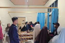 Pohon tumbang menimpa ibu dan anak di Nanga Mahap Sekadau