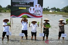 Wagub Sumut dukung program  swasembada pangan nasional