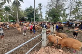 Pasar hewan Pulubala Gorontalo sepi pembeli akibat akses terputus