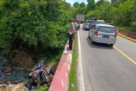 Tiga orang tewas dalam kecelakaan tunggal di Pesisir Barat