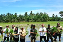Aceh Utara Akan Jadi Lumbung Padi Nasional, Dandim Lanjutkan Program Presiden Prabowo