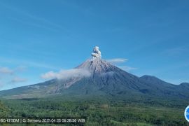 Gunung Semeru erupsi dengan letusan setinggi 900 meter