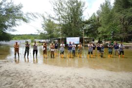 PLN UID Aceh tanam 20 ribu pohon mangrove tersebar di pesisir Aceh Jaya