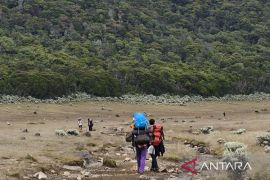 TNGGP buka kembali jalur pendakian ke Gunung Gede-Pangrango