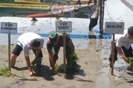 Magetan targetkan tanam padi 26.491 Ha tahun ini