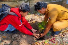 Ahli Geologi Pengda Riau Bagikan Ratusan Pohon Ke Warga Palas
