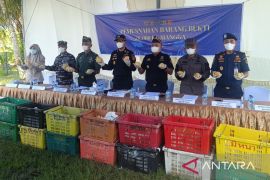 Bea Cukai Riau Amankan 28 ton Mangga Ilegal asal Thailand