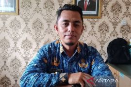 Pppk Rejang Lebong tahap II dibuka, peluang rebut 355 formasi tersisa