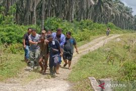 Tiga penderita gangguan jiwa di Mukomuko sembuh setelah dirawat di RSJ