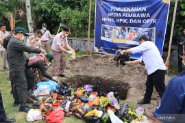 Karantina: Pemusnahan komoditas ilegal tanpa uji sampel sesuai aturan