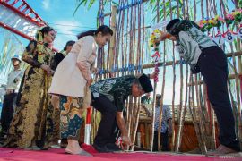 Tradisi petik tebu manten Pabrik Gula Jatiroto