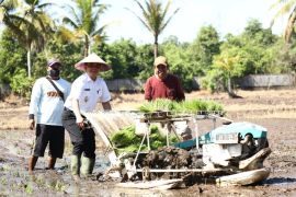 Pemkot Pontianak dukung swasembada pangan targetkan produksi padi 800 ton per tahun