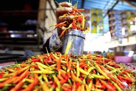  Capai rawit merah Rp73.037/kg, telur ayam Rp29.054/kg