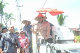 Dukung swasembada pangan, Wako Fadly Amran pimpin panen padi Kelompok Tani di Kota Padang
