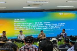 Pemerintah Siapkan KEK Industri Hilirisasi Terpadu Bulungan di Kaltara