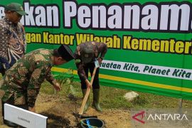 Kemenag Bangka Belitung gencarkan tanam pohon matoa di madrasah