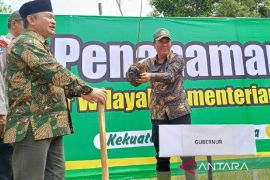 Babel targetkan tanam 700 pohon per hari