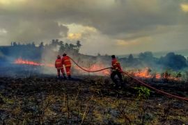 Kabupaten Natuna terbitkan surat peringatan dini bencana kekeringan