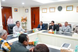 PLN - Pemprov Maluku sinergi bangun infrastruktur kelistrikan