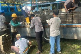 Sisa pembakaran batu bara PLTU Suralaya diolah jadi paving block