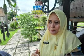 Dispar Belitung sambut baik penetapan status internasional bandara Hanandjoeddin