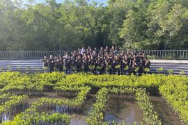 Kejaksaan serahkan bibit mangrove untuk masa depan udara yang bersih