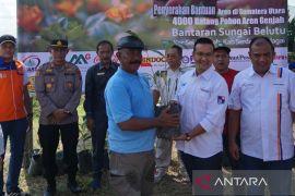 Bank Sumut serahkan 4.000 bibit aren genjah bagi masyarakat peringati Hari Bumi 2025