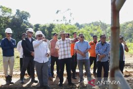 Bupati Saipullah tinjau fenomena semburan air panas di Desa Roburan Dolok