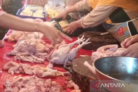 Harga daging ayam potong di Kota Bengkulu alami kenaikan