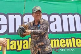 Babel benahi tata ruang atasi banjir di Pangkalpinang