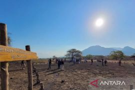 Pemkab Situbondo tak peroleh pendapatan dari pengelolaan TN Baluran