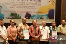 Pemprov Papua tata aset pariwisata untuk tingkatkan PAD