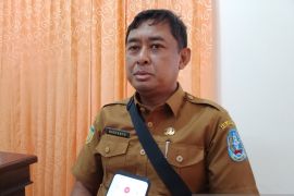 Dinas Koperasi dan UMKM dampingi UMKM Jayapura agar naik kelas