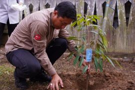 DPMPD Kaltim serahkan 640 bibit bohon untuk Desa Wisata Wehea