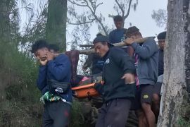 Seorang pendaki asal Malaysia kecelakaan di Gunung Rinjani
