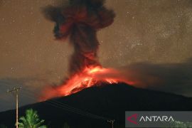 Badan Geologi: Lava muncul di kawah Lewotobi potensi erupsi eksplosif