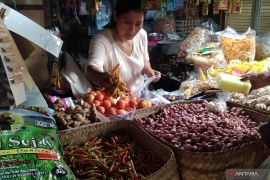 Pemprov Bali mulai dirikan Koperasi Merah Putih di 636 desa