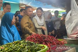 Wamendag pastikan harga komoditas stabil di Pasar Cik Puan Pekanbaru