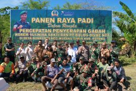 Danrem 161/Wira Sakti panen raya padi dukung swasembada pangan pangan