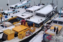 Nilai produksi ikan tangkapan nelayan di Bangka capai Rp26 miliar